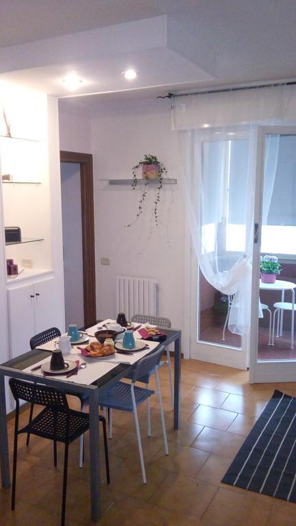 Orchidea Cir0347at00249